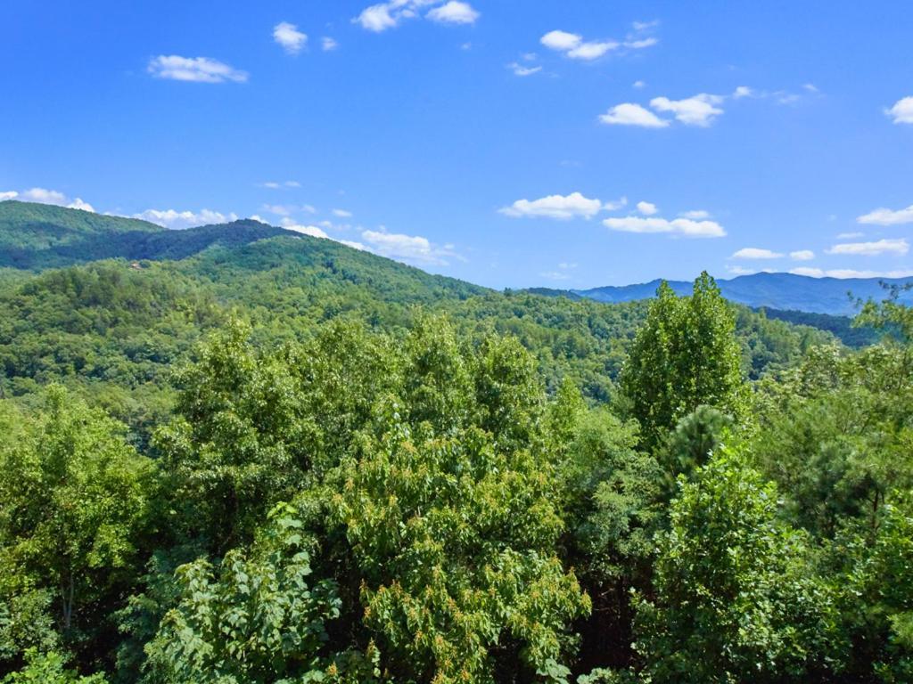 A Majestic View III Villa Townsend Bagian luar foto